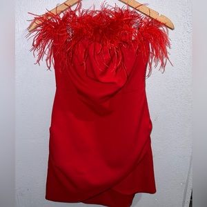 Boutique feathered dress